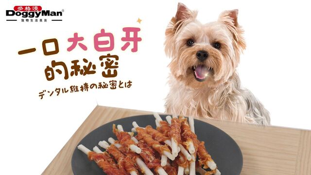 DoggyMan多格漫 名仕生牛皮绕肉