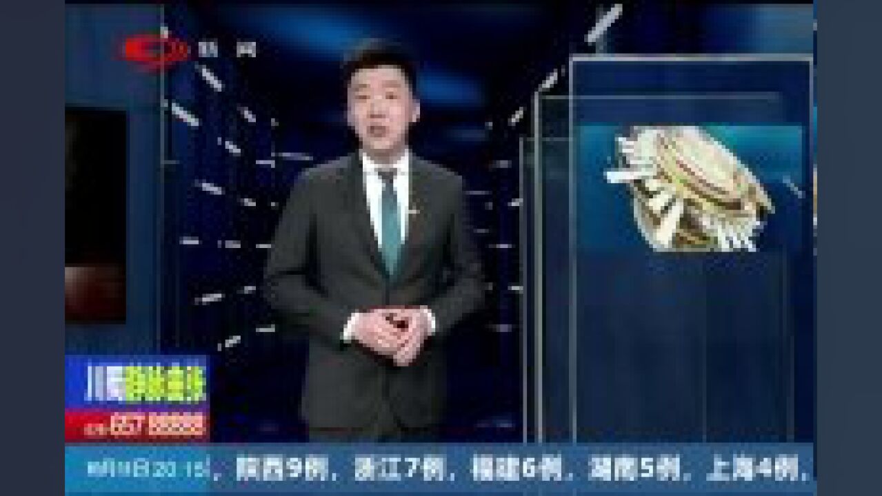 把警服“穿在心里”,他们甘愿做“隐形卫士”,只为守护百姓平安