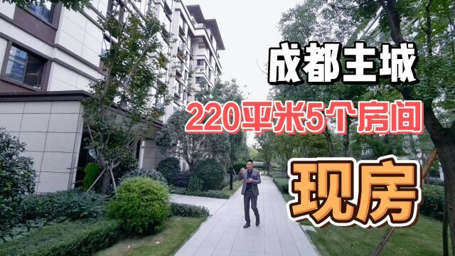 精装现房:成都武侯3.5环.220平米做了5房,网友:立马入住