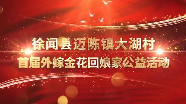 徐闻县迈陈镇大湖村外嫁金花回娘家公益活动