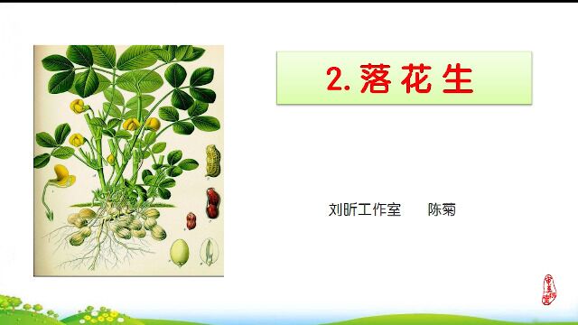 陈菊:五上第一单元语文《落花生》