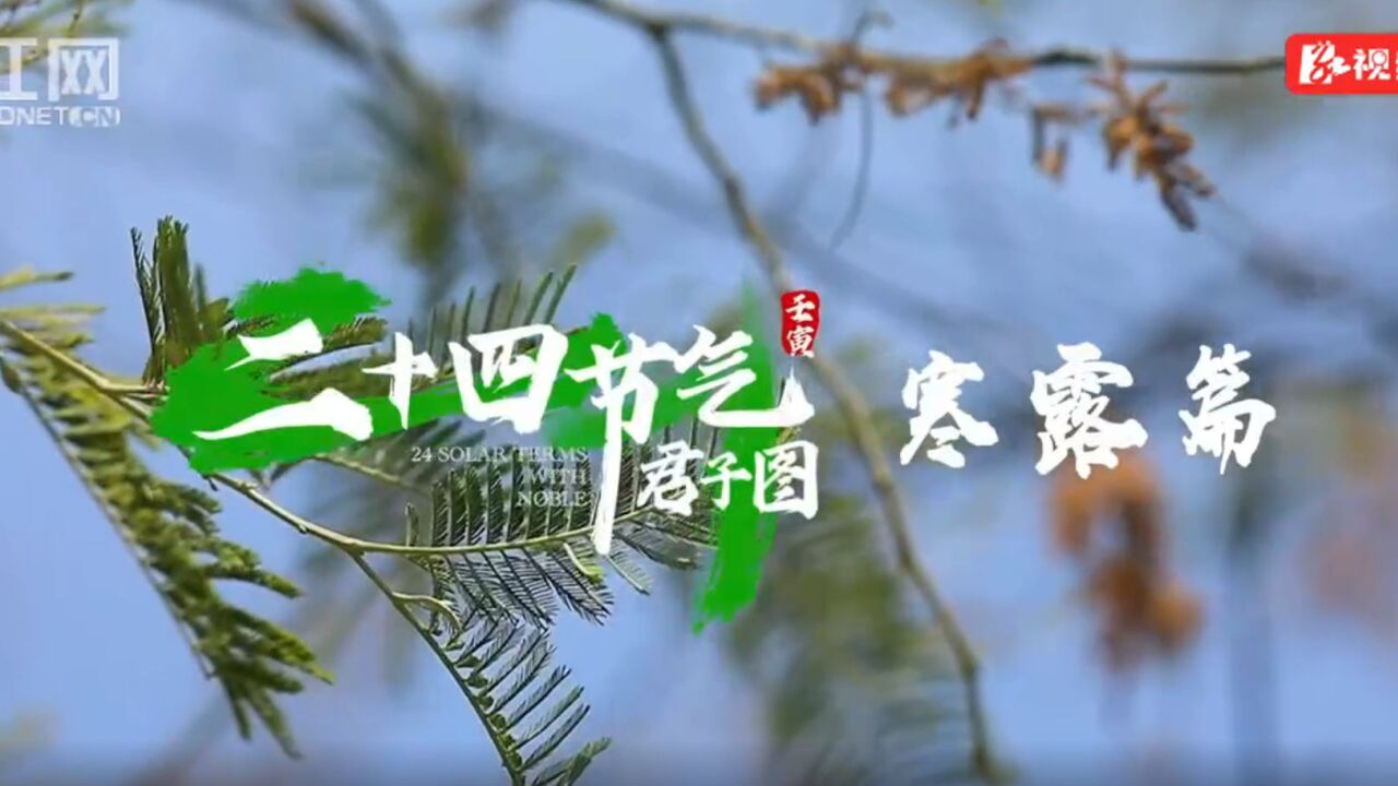 教师风采丨李文术:奋斗是青春最靓丽的底色