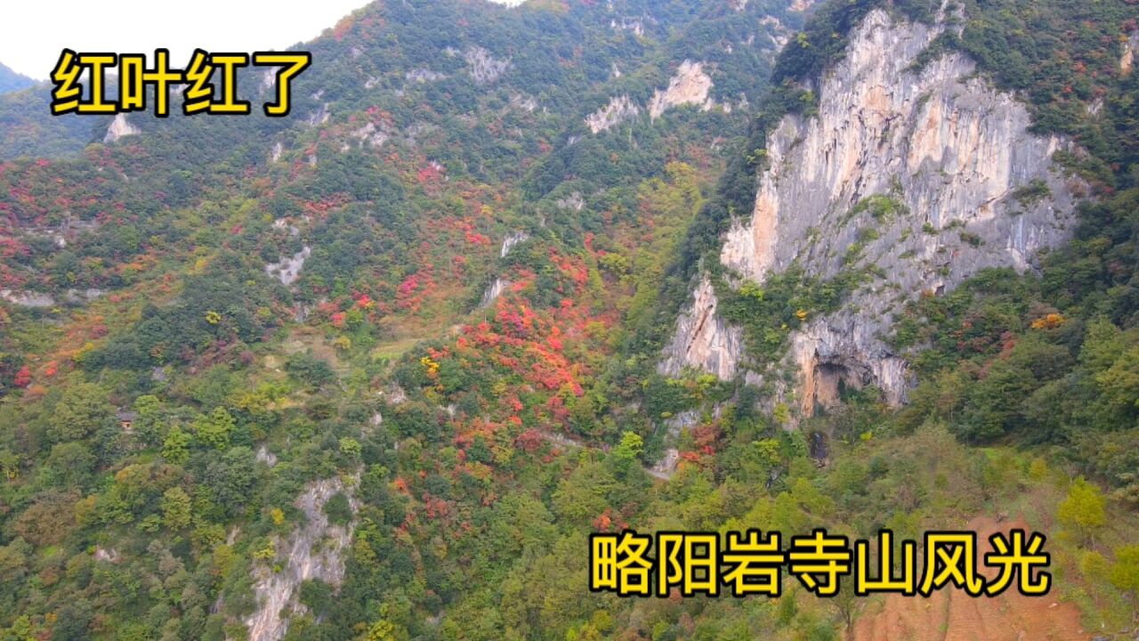 航拍秦岭:略阳岩寺山,各种颜色交织,好一幅秋天的风景画.