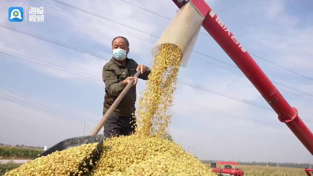 智慧种田、节粮减损、社会化托管……金色田间绘就德州“丰收图”