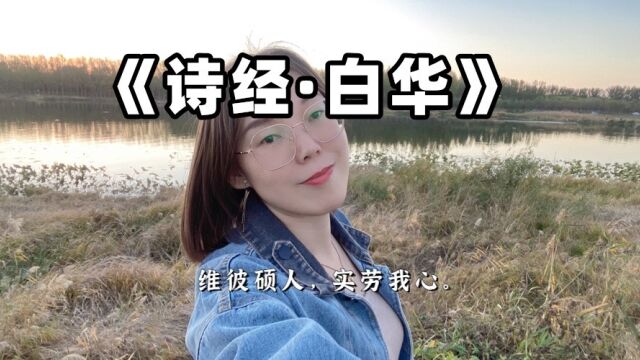 《诗经ⷮŠ白华》赏析:女人,请醒醒!爱一个人要卑微到什么程度?