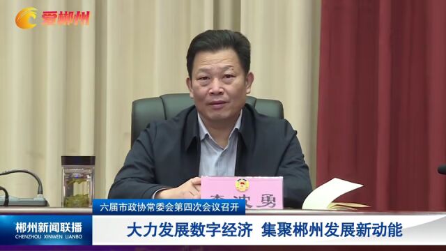 六届市政协常委会第四次会议召开:大力发展数字经济 集聚郴州发展新动能