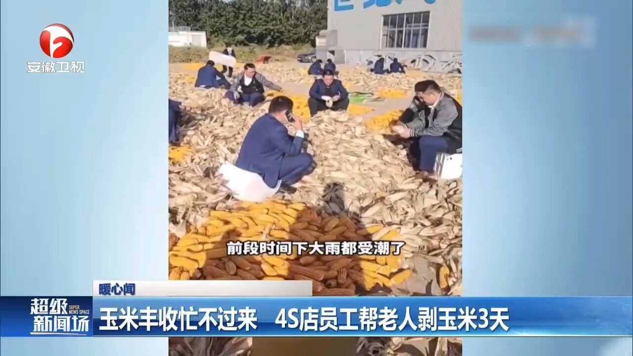 山东淄博:玉米丰收忙不过来,4S店员工帮老人剥玉米3天