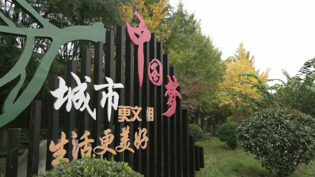 蓝田街巷银杏黄 幸福家园好风光