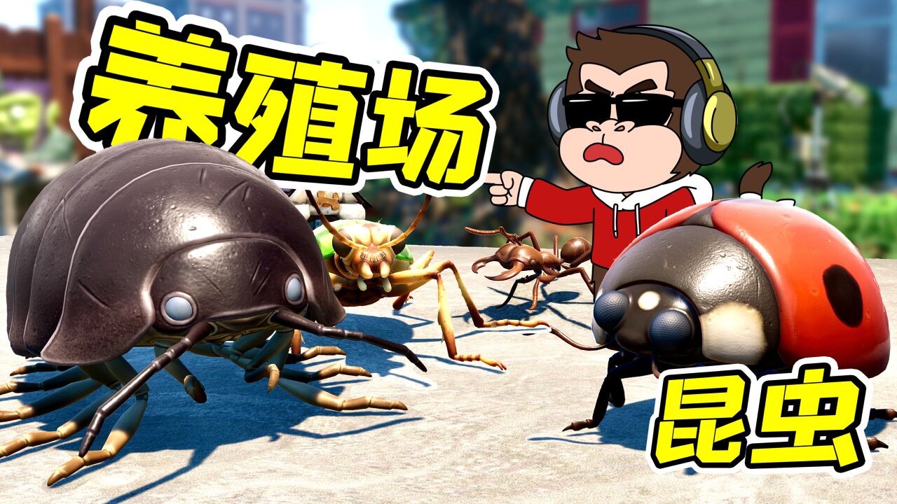 昆虫养殖场,成立!