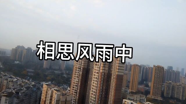 精典歌曲《相思风雨中》