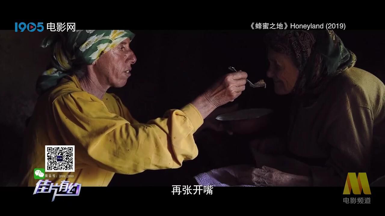 佳片有约|《蜂蜜之地》影评:这部影片为什么值得关注?