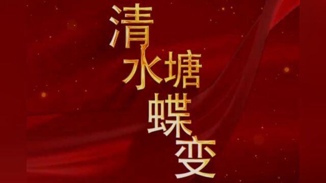 微视频 | 石峰税务:税收助力清水塘蝶变