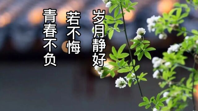 淡一点,再淡一点就好了