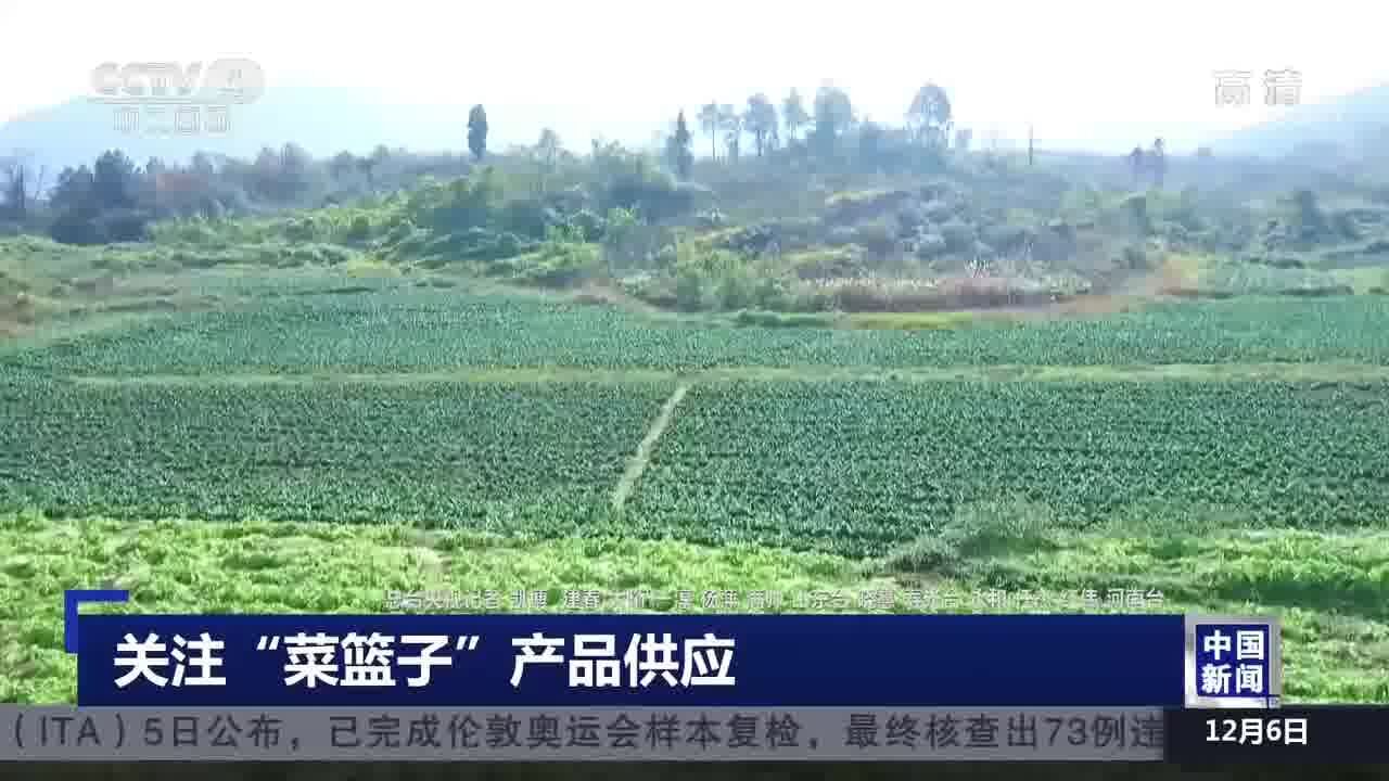 关注“菜篮子”产品供应 中国“菜篮子”产品总量充足