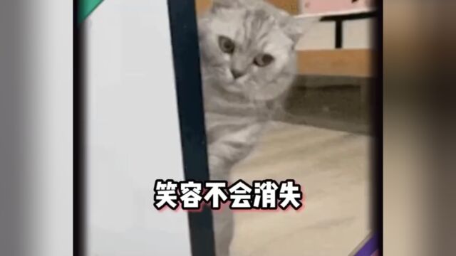 搞笑魔力转圈圈#官方热门