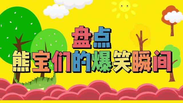 搞笑经典合集:精选10段熊宝宝的爆笑片段,看完笑到肚子疼