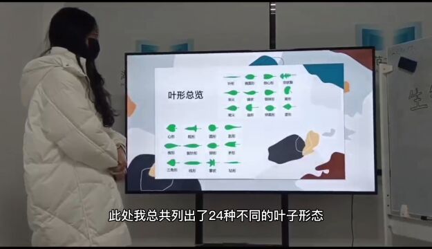 生物科普小乐园之叶的形态