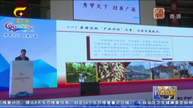 广西全区新创建全国乡村旅游重点村镇10个