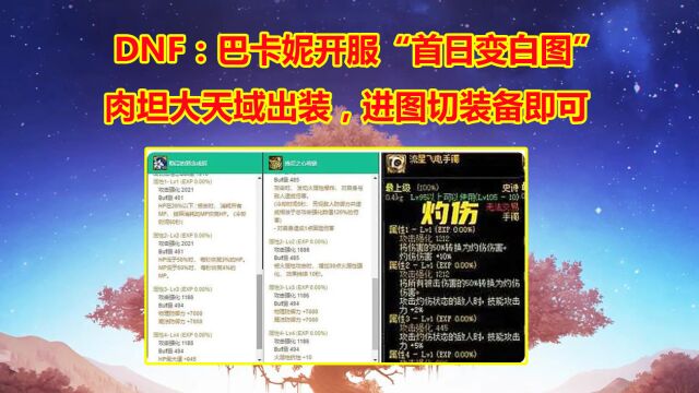 DNF:巴卡妮开服“首日变白图”!肉坦大天域出装,进图切装备即可