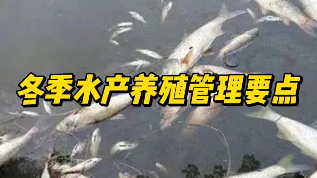 冬季水产养殖管理要点