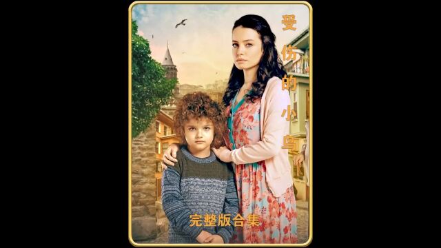 土耳其剧《受伤的小鸟》完整版合集,看完直呼过瘾#土剧推荐#小宝#一剪到底#好剧推荐