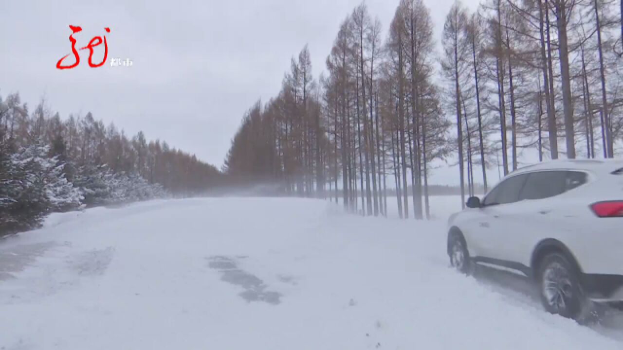 虎林:迎风战雪保畅通 紧急救援暖民心