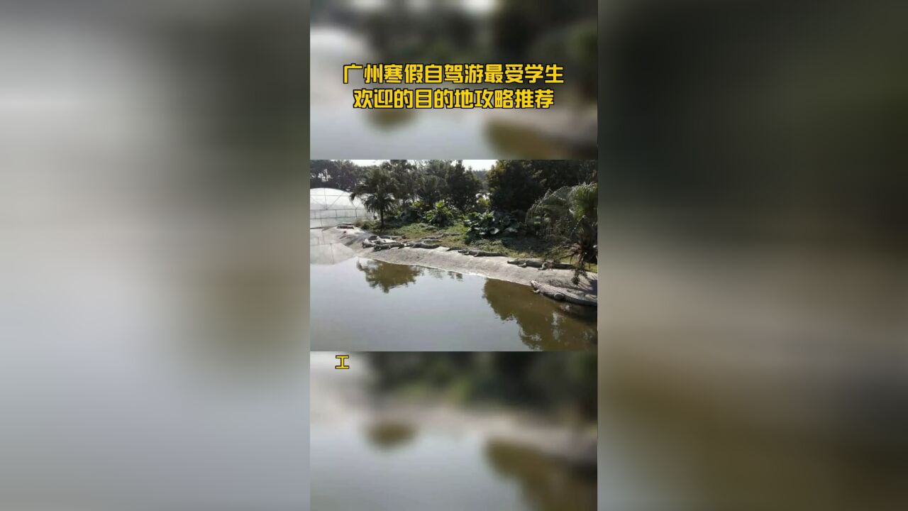 广州寒假自驾游最受学生欢迎的目的地攻略推荐