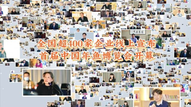 全国超400家企业线上宣布,首届中国年鱼博览会在珠海开幕!