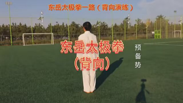 #东岳太极拳一路背向演练.