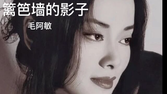 经典老歌,百听不厌.《篱笆墙的影子》完整版,演唱:毛阿敏