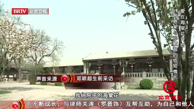 周总理与邓大姐是模仿夫妻,但他们年轻时,都同样排斥婚姻丨档案