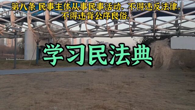 第八条:民事主体从事民事活动,不得违反法律,不得违背公序良俗