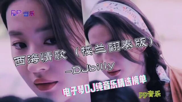 电子琴纯音乐12《西海情歌》完整版DJBilly