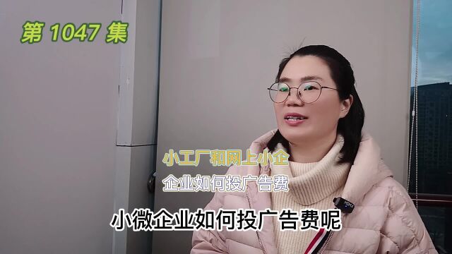 1047 小工厂和网上小微企业如何投广告费