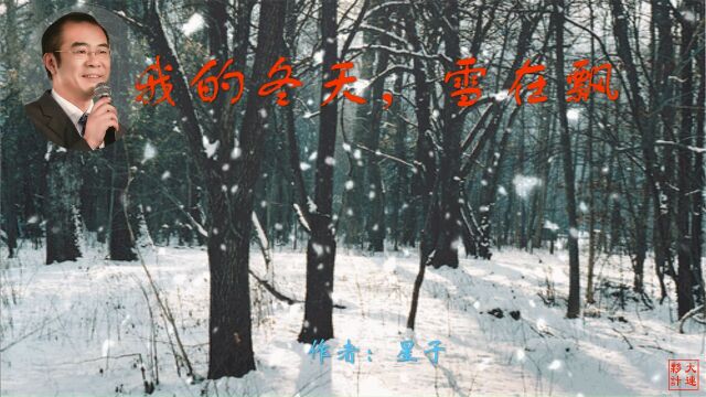 《我的冬天,雪在飘》作者:星子 诵读:大连伙计