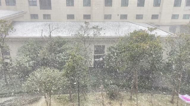 哇哇哇,舟山下大雪了!听到隔壁邻居都很兴奋地喊:下雪啦~#瑞雪兆丰年好运连连 #2023第一场雪 #有雪的春节才是那味儿