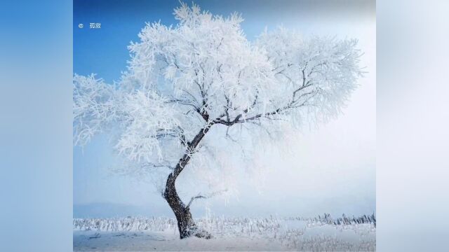 专家建议收呼吸空气要收税了