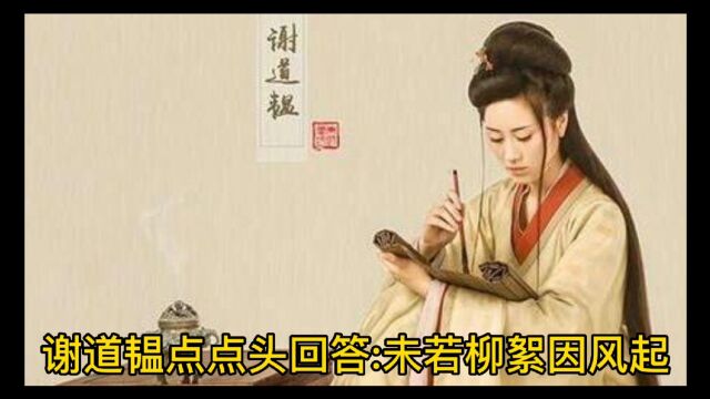 古代才女谢道韫智对对联