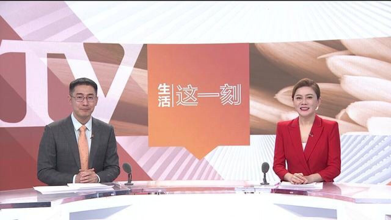 北京春节去哪里?推荐您来首都图书馆,参与猜谜、送福字等一系列线下活动.