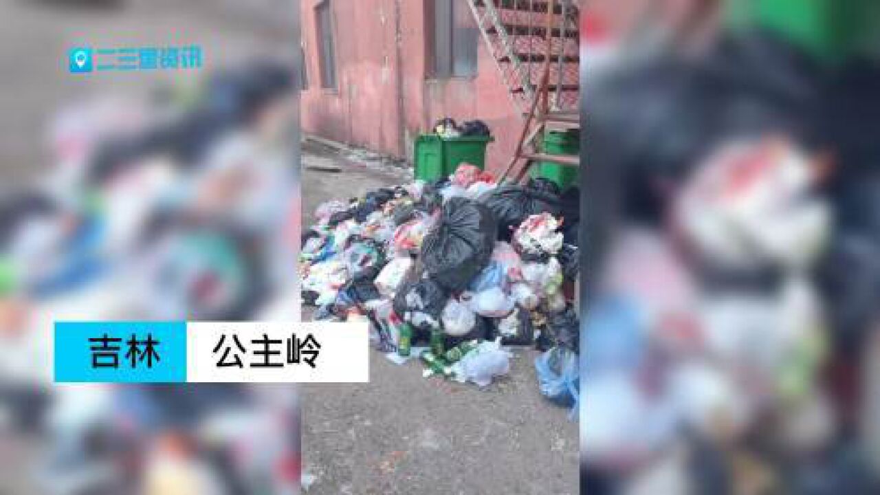 公主岭一胡同垃圾堆多日无人清理,二三里联系相关部门处理