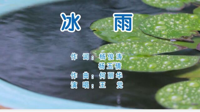 《冰 雨 》作词:杨俊涛 杨玉倩 作曲:何丽华 演唱:王 觉