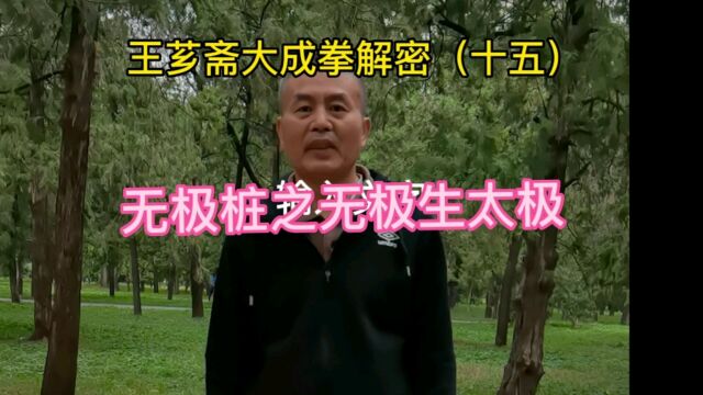 第15集|大成拳最基础的桩无极桩之无极生太极