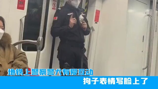 山西地铁警察警犬有爱互动,狗子表情写脸上了,网友:人帅狗也乖