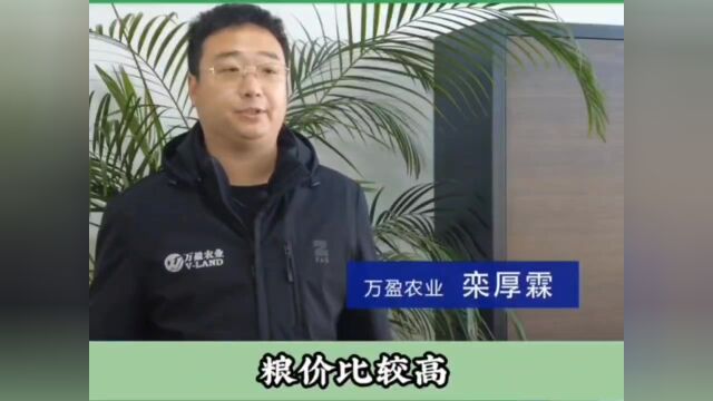 地租不断上涨 种植大户该如何走出困境?