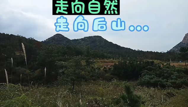 走向自然 走向后山...