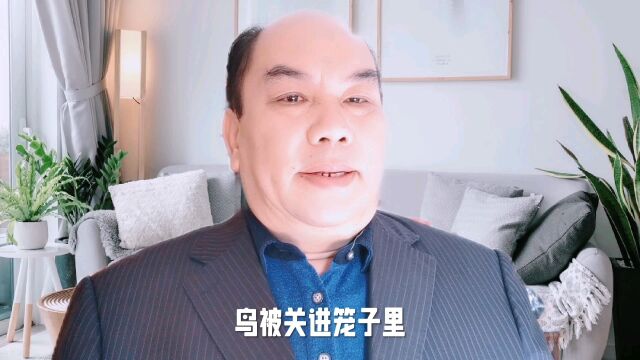 笼子里的鸟,根本没有幸福可言