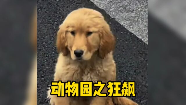 狂飙演员剧组照,帅呆了