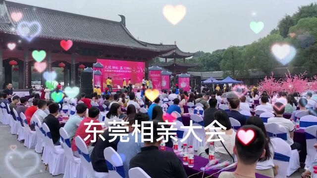 东莞相亲平台遇缘婚恋相亲交友活动大型相亲会