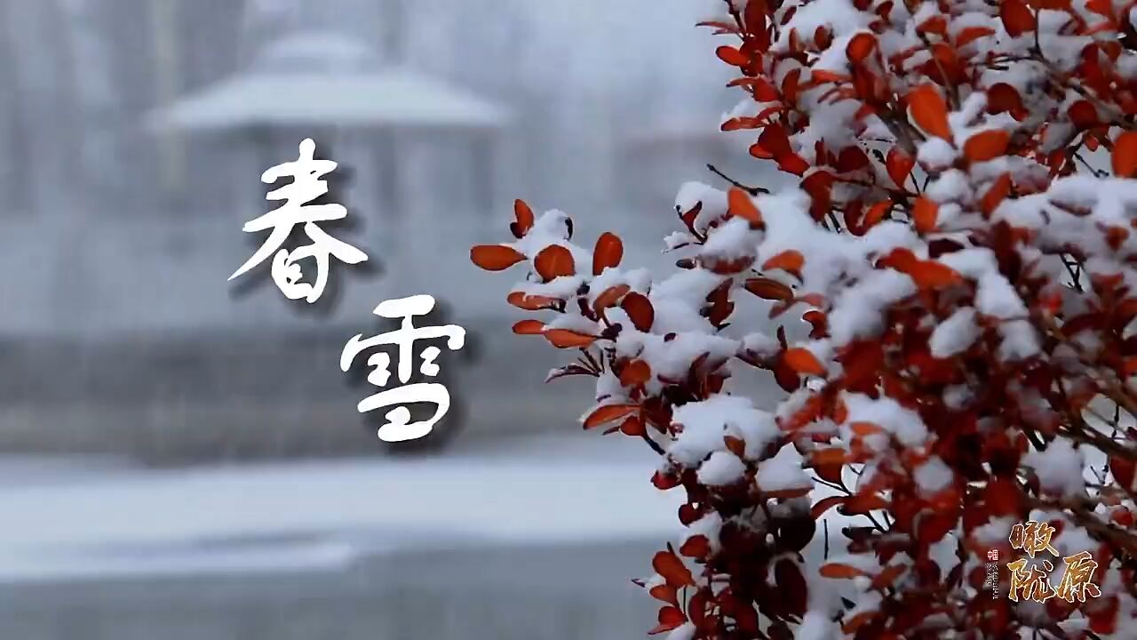 这里是甘肃ⷨ熩⑼西峰区:春雪落 万物生