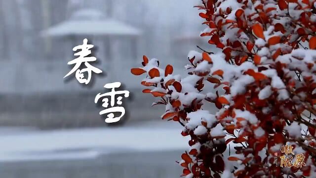 这里是甘肃ⷨ熩⑼西峰区:春雪落 万物生